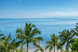 Palmenstrand auf den Seychellen