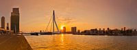 Panorama Erasmusbrug Rotterdam van Ronald Dijksma thumbnail