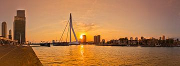 Panorama Erasmusbrug Rotterdam van Ronald Dijksma