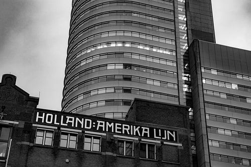 Ligne Holland America