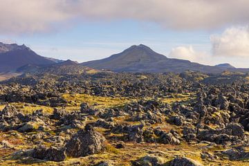 IJsland (Lava rock formation) van Marcel Kerdijk