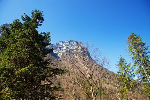 Alps