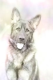 Schäferhund in sanften Farben von Michar Peppenster