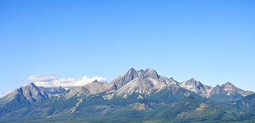 Malerisches Panorama der Hohen Tatra