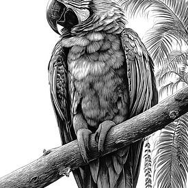 Tropische ara op tak Zwart-wit kunst van NAIME ATELIER