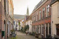 Straßenszene in Weesp von Dirk van Egmond Miniaturansicht