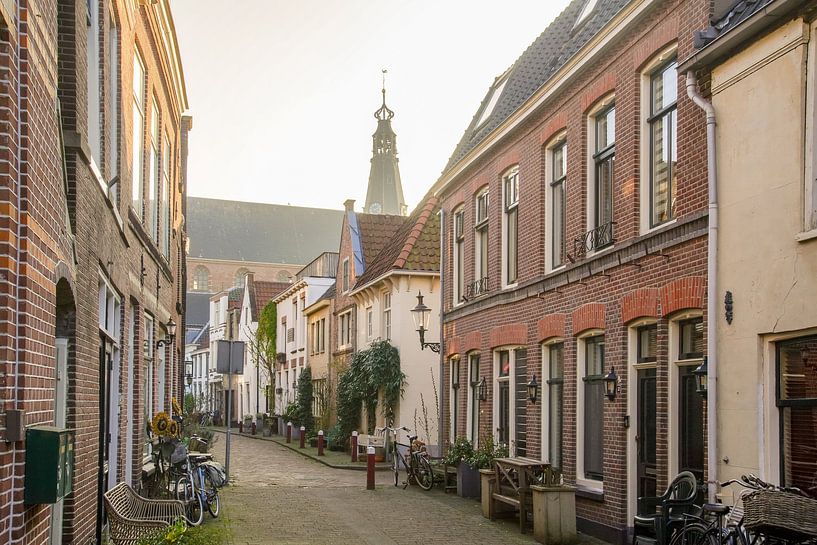 Straßenszene in Weesp von Dirk van Egmond