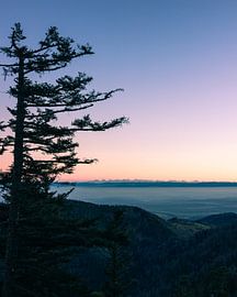 Die Farben des Abends von Casper van Battum