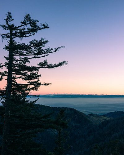 Les Couleurs du Soir