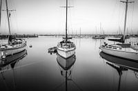 Un calme parfait - Port de San Diego