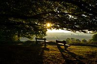 Die goldene Stunde auf der Posbank