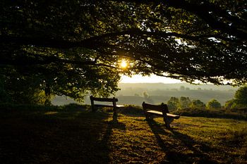 Die goldene Stunde auf der Posbank