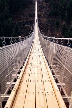 Suspension bridge by Jim Plaum
