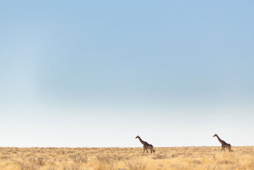 Empty desert landscape with two giraffes against the horizon by Simone Janssen