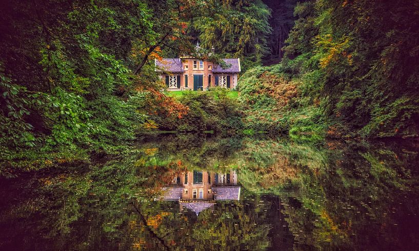 Beautiful reflection of nature and a house in the water by Joyce Derksen