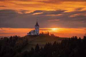 Aufbruchstimmung in Slowenien