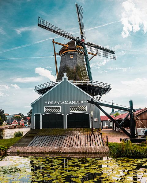 Le Moulin à salamandre par Chris Koekenberg