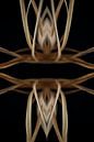 symmetrische stengels #002 van Peter Baak thumbnail