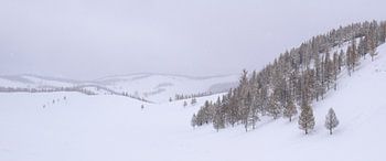 Tsenkher, Mongolei - I