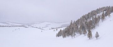 Tsenkher, Mongolia - I by Jarne Buttiens