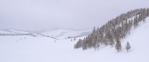 Tsenkher, Mongolië - I