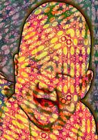 Figuurlijke Blijdschap