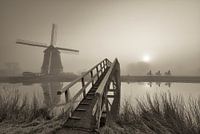 Fog at Mill Hensbroek