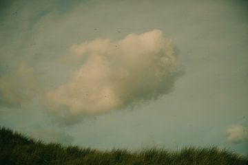 Eenzame wolk boven de hollandse duinen van Ellen Snoek