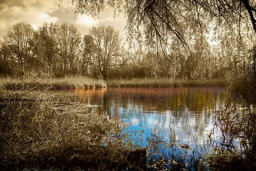 Lake Bohemian Forest