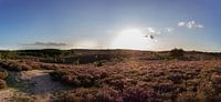 Panoramafoto van de zonsondergang op de Posbank