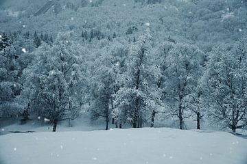 Noors hooggebergte, besneeuwde bergen en landschap van Martin Köbsch