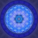 Brow Chakra with Flower of Life by Christine Bässler thumbnail