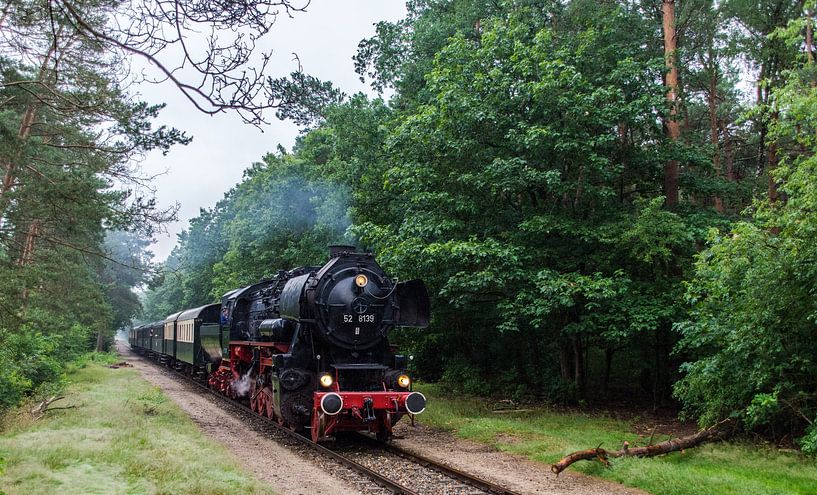 VSM 52-8139 Eerbeek by Marcel Timmer