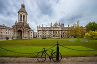 Trinity College Dublin van Antwan Janssen thumbnail