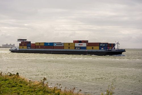 Containerschip Sarina varend door het Breeddiep