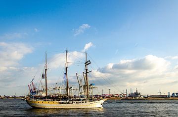 Zeilschip op de Elbe in de haven van Hamburg van Dieter Walther