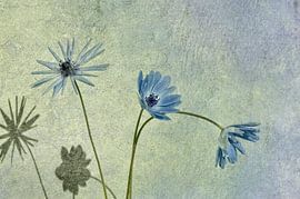 3 dancers in blue by Rosina Schneider