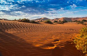 Morgen Licht auf den Dünen von Sossusvlei, Namibia