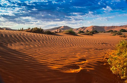 Ochtendlicht over de duinen van de Sossus vallei, Namibië