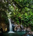 Dschungel-Wasserfall Flores von Corrine Ponsen Miniaturansicht
