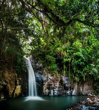 Jungle waterfall Flores by Corrine Ponsen