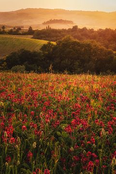 Il bouquet di Dio van Loris Photography