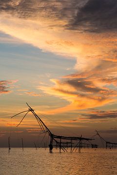 Fischernetze in den Feuchtgebieten von Phatthalung, Thailand