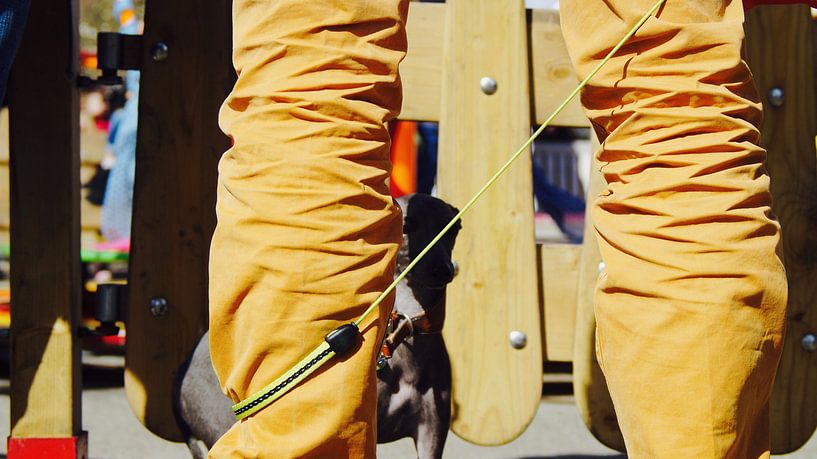 his masters legs by Frenz' van de Grift