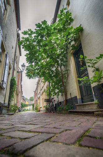 Picturesque Den Bosch