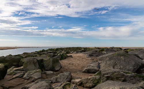 The Coastal reinforcement...