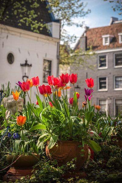 Le printemps au Raamgracht par Amsterdam Pixels