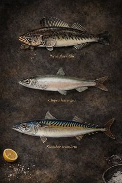 Fisch von Bert Quaedvlieg