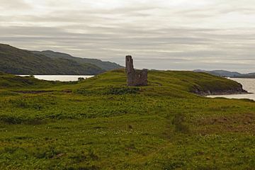 Ardvreck Castle is een ruïne van een kasteel in de Schotse Hooglanden.