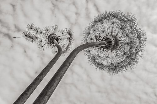 Volez avec le vent. sur Jean Arntz